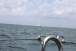 resIMG_20120707_1709.JPG